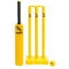 Salamander Cricket Set