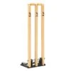 Salamander Spring Return Cricket Stumps Natural Colour -Sports Equipment Store SalamanderSpringReturnStumps2of3 web
