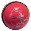 Salamander Super Test T20 Cricket Ball: Pink -Sports Equipment Store SalamanderSuperTestCricketBallPink1 web