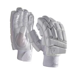 Chase R11 Cricket Batting Gloves