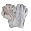 Chase R11 Wicket Keeping Gloves - Adult -Sports Equipment Store chaser11wicketkeepinggloves