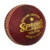 Readers Special School Cricket Ball - Youths
